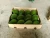 Import Avocado from United Arab Emirates