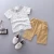 Import Baby Clothes Toddler Clothes Boys Clothes Sets Short Sleeves Clothing Set from China