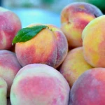 Best Fresh Canned Yellow Peach