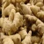 Import Best Quality Fresh Organic Ginger For Sale from Denmark