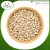 Import Best Quality White Sorghum At Affordable Price from India
