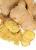 Import Best sell fresh/dried/power ginger for new crops 2018 from Vietnam