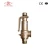 Import BSP Thread Spring Loaded High Lift Brass Steam Boiler Safety valve Soft Sealing Bronze/Brass Pressure Relief Safety  Valve from China