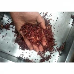 cacao bean huller roasted cocoa bean cracking machine Peeler Machine