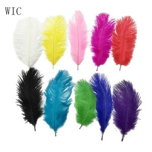Carnival Costume Decoration Dyed Colorful Ostrich Feathers