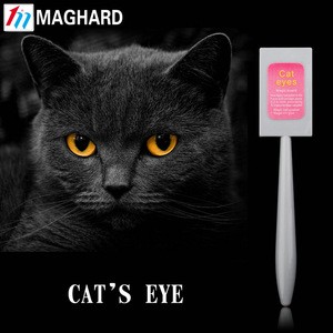 cat eyes nail art magnet