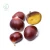 Import China Fresh Chestnuts ( Size:90-110 grains/kg) in Gunny Bag from China