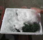China Quality Fresh Cauliflower / Broccoli Fresh Vegetables Wholesale 0.75-1.2kg 7-15 Days Shangdong Crispy Sweet Cooking 30days