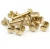 Import China wholesale Brass Male Female chicago screw custom m3 sex bolt chicago screw book binding post chicago screws from China