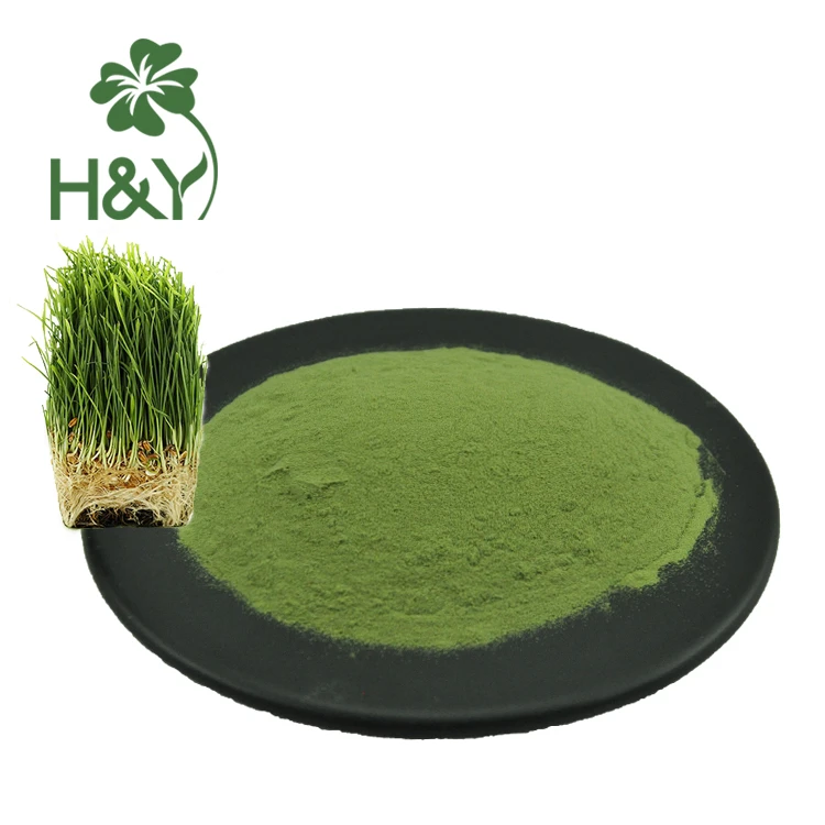 Chinese barley grass juice powder barley grass powder