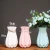Import Chinese Modern Wedding Decoration White Porcelain Flower Vase Ceramic for Home Decor from China