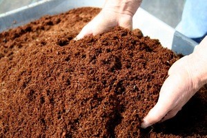 COCOPEAT BRICK/ COCO PEAT/ COMPOSTED COIR PITH COMPOST