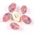 Import Colorful Natural Sea Shells Used for Shell Jewelry from China