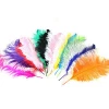 Colorfully ostrich hairs Different size Natural Feathers ostrich feather