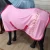 Import Comfort Breathable Horse Equipment Wholesale horse rugs from China