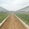 Commercial wide span polyethyene film agricultural greenhouse