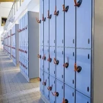 Compact laminate hpl gym locker for sale