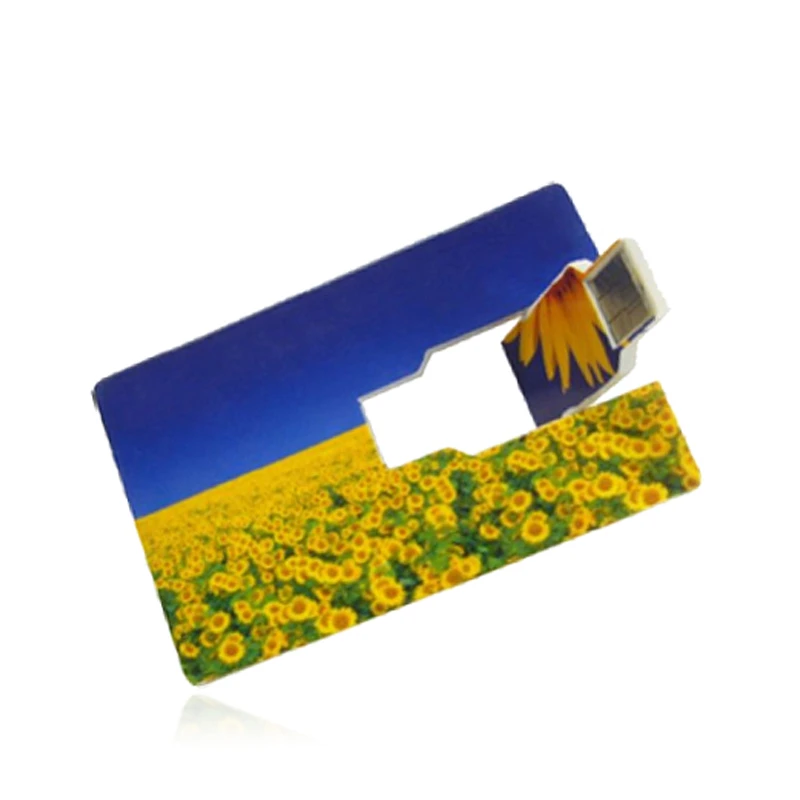 Custom Credit Card Pendrive Card Usb Flash Drive  With Custom Logo