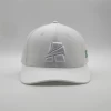 Customized 6 Panel 3d Embroidery Logo Trucker,Classic Mesh Trucker Cap,Low Profile White Trucker Hats