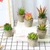 Customized handmade Real Touch China factory mini artificial plants succulent plant