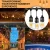Customized S14 Globe black cable holiday led String Lights with Clear Bulbs, Indoor/Outdoor string lights Commercial Use