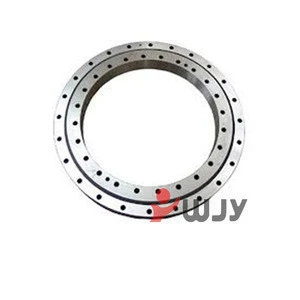 Customized Slewing bearing luoyang Supplier Slewing super big bearings Ring Bearing for Mobile Crane
