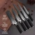 Import Damascus steel VG10 5-pc Japanese kitchen knife set from China