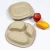 Import degradable disposable ,Stocked,Eco-Friendly Feature compartment biodegradable tray from China