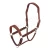 Import Design Your Own Leather Head Collar Halter Padded Leather Horse Halter from Pakistan