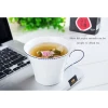 Directly wholesale health scented triangle tea bag