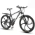 Import Double Disc Brake and Variable Speed 21Speed 26inch Mountain Bike Bicycle for Adult from China