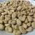 Import Dried Broad Beans. from USA