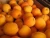 Import Dried,Fresh Apricots , Wholesale Fresh Apricots , Bulk Fresh Apricots from South Africa