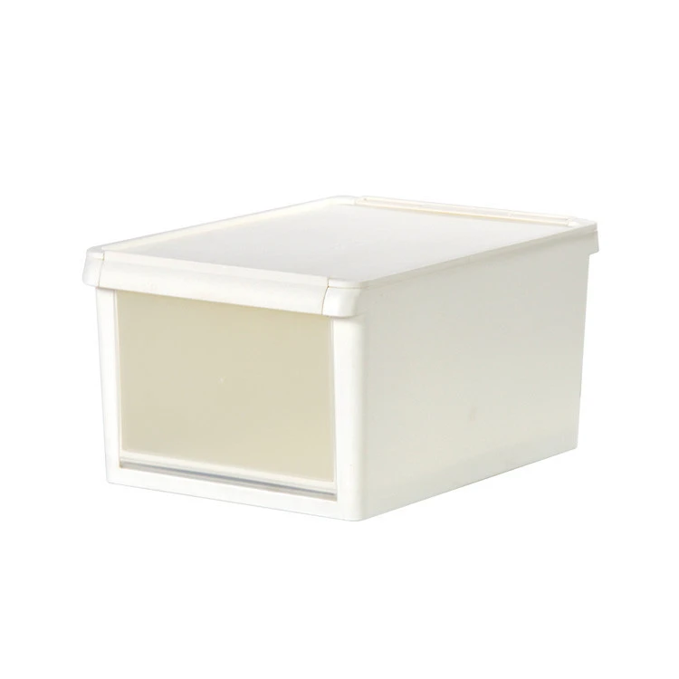 Drop Front Door Transparent Shoe Box Cabinet Plastic Storage Box | livinbox DB-13