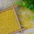 Import Drying Grain Yellow Millet Glutinous Non Gmo Sticky Millet from China