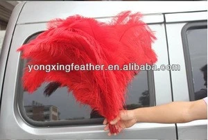 dyed Ostrich plume for Christmas
