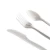 Import ECO Friendly Compostable PLA Cutlery  100% Biodegradable Fork from China