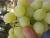 Import Egyptian Grapes ( Superior - Flame - Crimson - Thompson -Red Globe ...) from Egypt