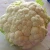 Import Egyption Fresh cauliflower / best price / grade one from Egypt