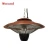 Import Electric Patio Heater-Ceiling heater from China