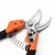 Import EVERPOWER hot low price 8&quot; Garden professional Pruning shears a good helper for garden use from China