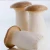 Import Export Grade Fresh King Oyster Mushroom from China