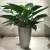 Import Factory hot sale M&amp;S fiberglass garden decorative cheap flower pots&amp;planters from China