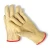 Import Factory Price Hot Selling Leather China Driver Gloves With Hot Selling from Pakistan