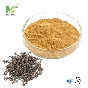 Factory Supplying High Quality Burdock Root Extract Powder