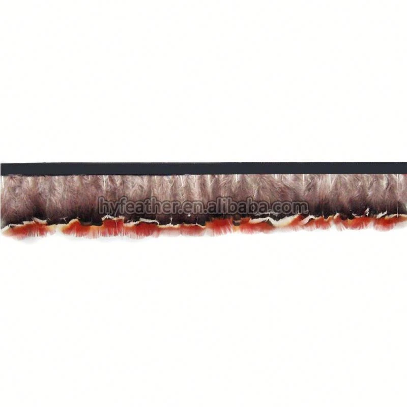 Factory Wholesale Cheap  Lady Amherst Pheasant Plumage Feather Trim goose feather hat trim with pheasant-hackle-guinea feather