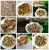 Import Factory wholesale high quality walnuts from China