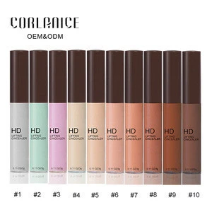 Fashion makeup private label liquid 10 color foundation and concealer