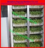 food machine to produce bean sprouts