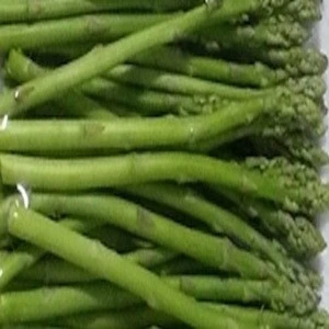 Fresh Asparagus Wholesale